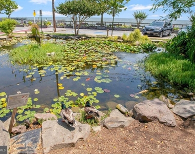 4016 17th Street - Photo Thumbnail 41
