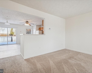 8334 Tapu Court - Photo Thumbnail 7