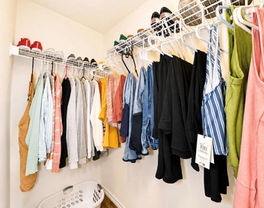 281 Prairie Verbena Dr - Photo Thumbnail 14