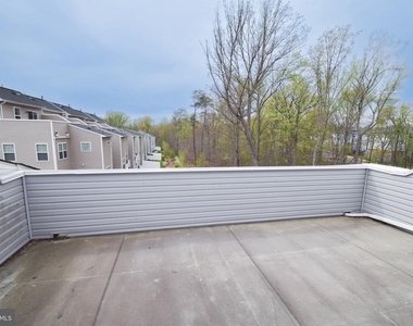 1438 Honey Locust Drive - Photo Thumbnail 8
