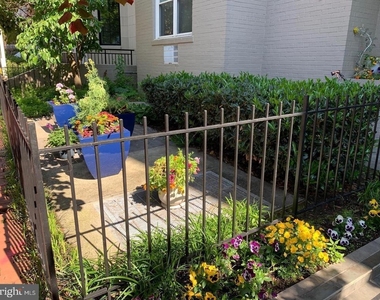 2130 N Street Nw - Photo Thumbnail 13