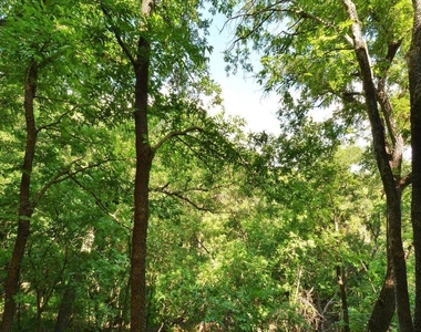 8200 Neely Dr - Photo Thumbnail 6