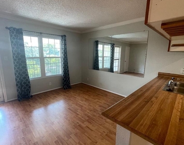 910 Duncan Ln - Photo Thumbnail 5