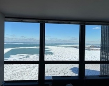 910 N Lake Shore Drive - Photo Thumbnail 32