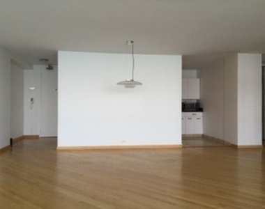 910 N Lake Shore Drive - Photo Thumbnail 12