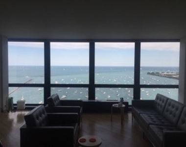 910 N Lake Shore Drive - Photo Thumbnail 14