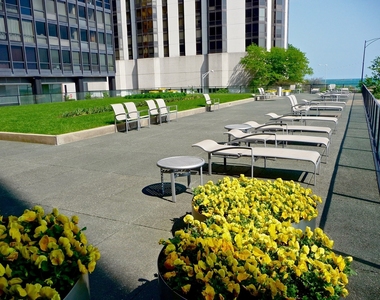 910 N Lake Shore Drive - Photo Thumbnail 38