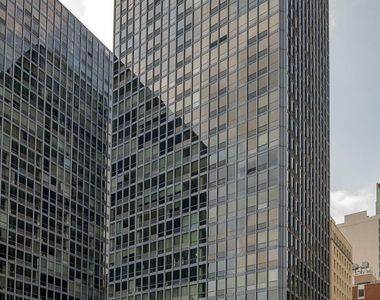 910 N Lake Shore Drive - Photo Thumbnail 42