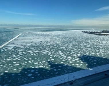 910 N Lake Shore Drive - Photo Thumbnail 30