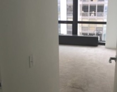 910 N Lake Shore Drive - Photo Thumbnail 6