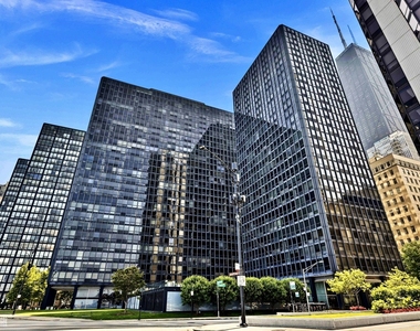 910 N Lake Shore Drive - Photo Thumbnail 43