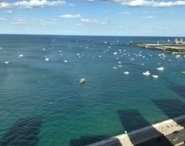 910 N Lake Shore Drive - Photo Thumbnail 25