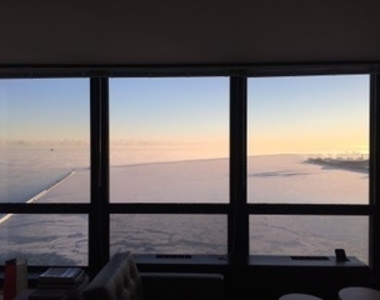 910 N Lake Shore Drive - Photo Thumbnail 24