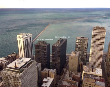 910 N Lake Shore Drive - Photo Thumbnail 45