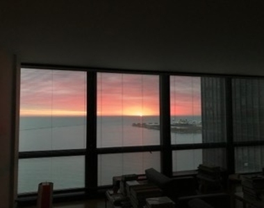 910 N Lake Shore Drive - Photo Thumbnail 27
