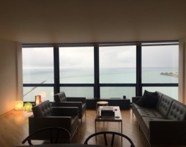 910 N Lake Shore Drive - Photo Thumbnail 18