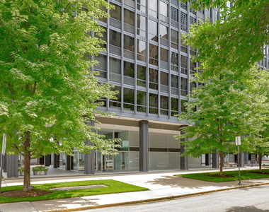 910 N Lake Shore Drive - Photo Thumbnail 41