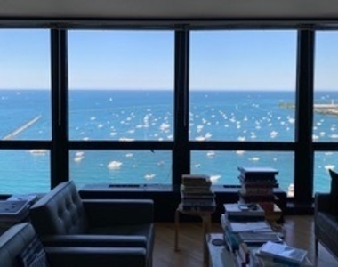 910 N Lake Shore Drive - Photo Thumbnail 31