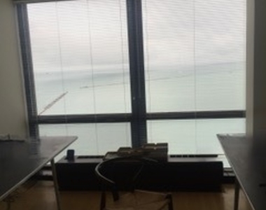 910 N Lake Shore Drive - Photo Thumbnail 19