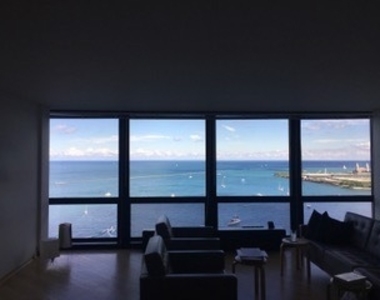 910 N Lake Shore Drive - Photo Thumbnail 15