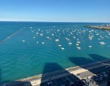 910 N Lake Shore Drive - Photo Thumbnail 29