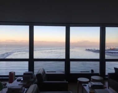 910 N Lake Shore Drive - Photo Thumbnail 23