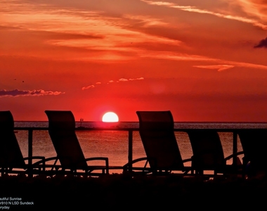 910 N Lake Shore Drive - Photo Thumbnail 36