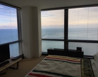 910 N Lake Shore Drive - Photo Thumbnail 21