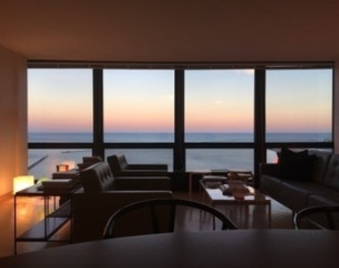 910 N Lake Shore Drive - Photo Thumbnail 20