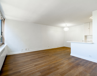 3950 N Lake Shore Drive - Photo Thumbnail 3