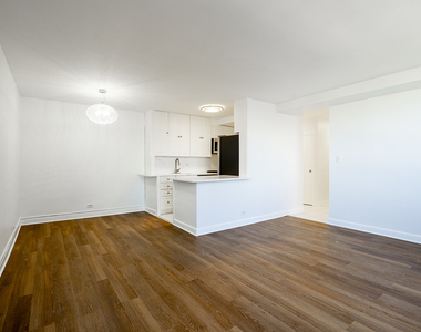 3950 N Lake Shore Drive - Photo Thumbnail 2