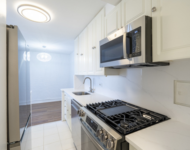 3950 N Lake Shore Drive - Photo Thumbnail 5