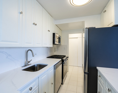 3950 N Lake Shore Drive - Photo Thumbnail 4