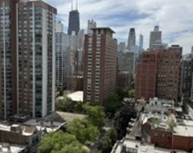 1400 N State Parkway N - Photo Thumbnail 3