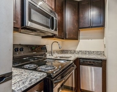 1430 N Dearborn Parkway - Photo Thumbnail 3