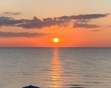 7225 Pelican Bay Boulevard - Photo Thumbnail 40
