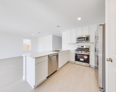 29043 Pearl Barley Way - Photo Thumbnail 7