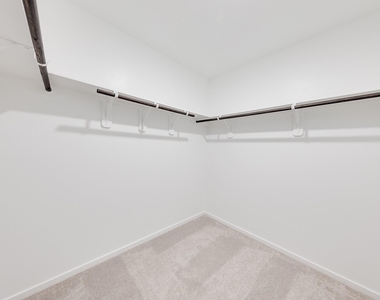 29043 Pearl Barley Way - Photo Thumbnail 20