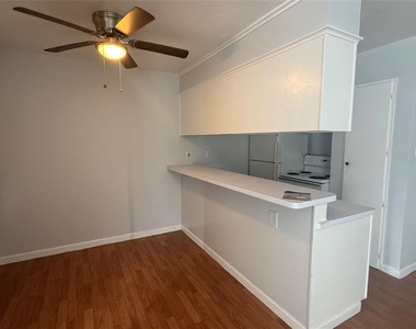 519 Branard St Street - Photo Thumbnail 2