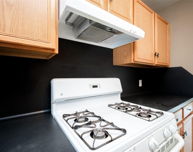 17219 Lilac Vale Court - Photo Thumbnail 11