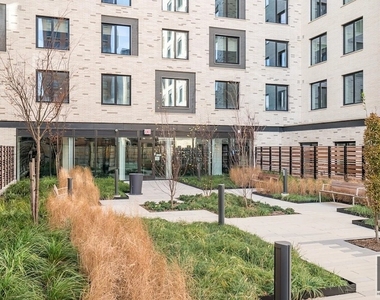 310 Clarkson Avenue - Photo Thumbnail 20