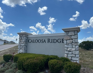 1116 Caloosa Ridge Way - Photo Thumbnail 19