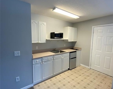 613 Coconut Palm Way - Photo Thumbnail 3