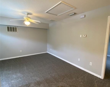 613 Coconut Palm Way - Photo Thumbnail 5