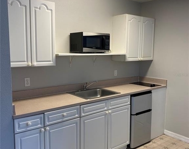 613 Coconut Palm Way - Photo Thumbnail 21