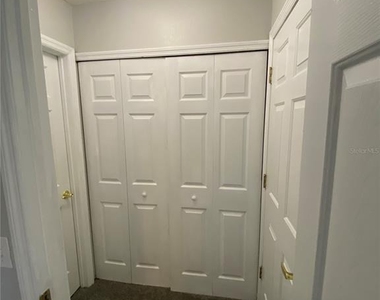 613 Coconut Palm Way - Photo Thumbnail 19