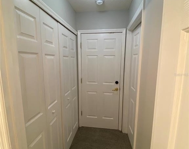 613 Coconut Palm Way - Photo Thumbnail 18