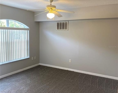 613 Coconut Palm Way - Photo Thumbnail 8