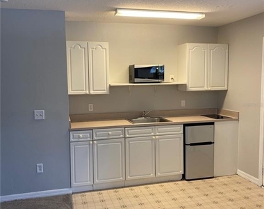 613 Coconut Palm Way - Photo Thumbnail 20