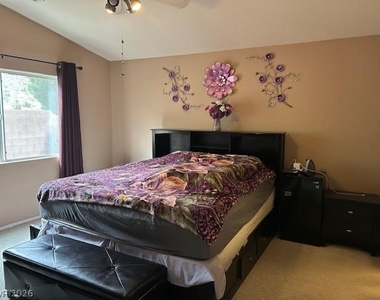3705 Mornings Dawn Street - Photo Thumbnail 19